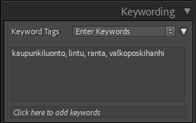 A screenshot of a computer

Description automatically generated