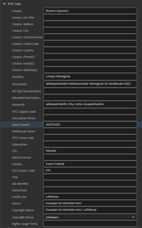 A screenshot of a computer

Description automatically generated
